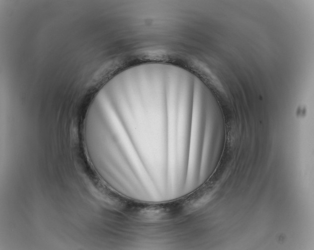 X0000091310213200709071121