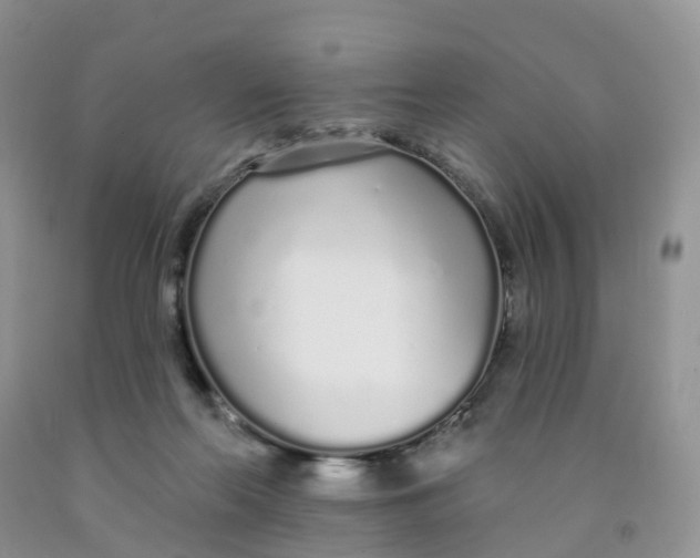X0000091310214200709071121
