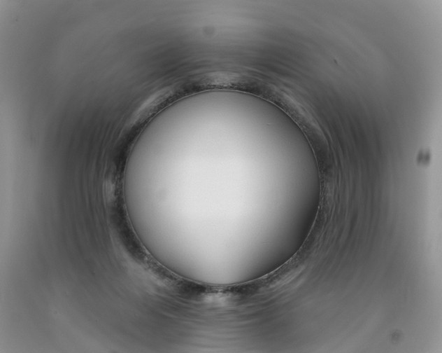 X0000091310216200709071121