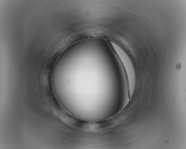 X0000091310217200709071121
