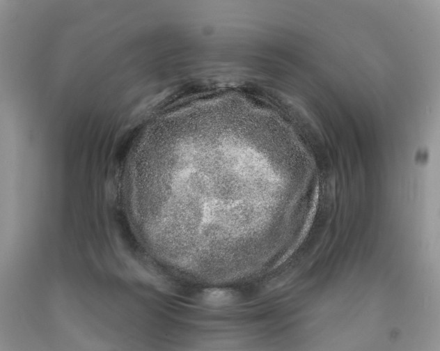 X0000091310218200709071121