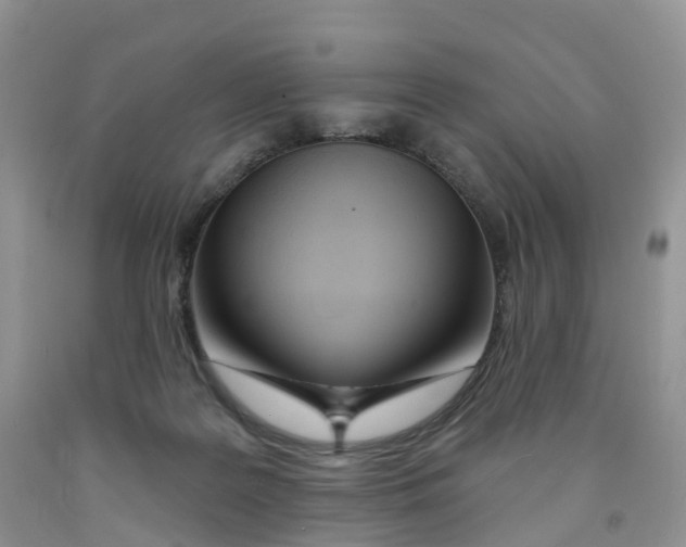 X0000091310219200709071120