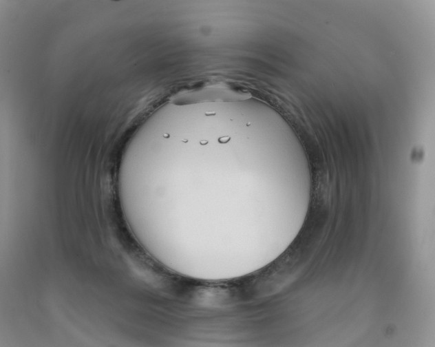 X0000091310220200709071120