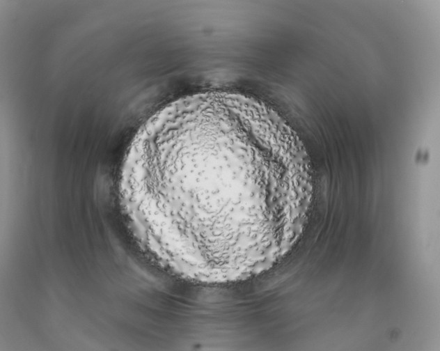 X0000091310222200709071120