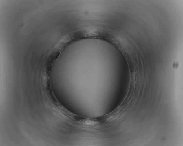 X0000091310223200709071120