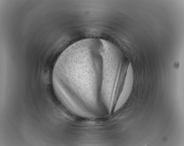 X0000091310224200709071120