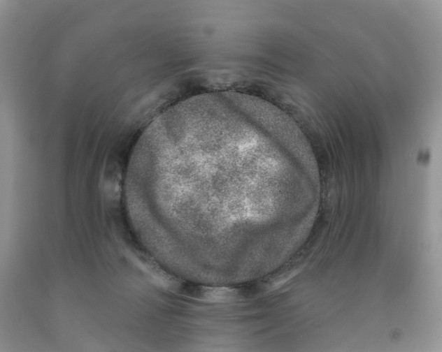 X0000091310226200709071120