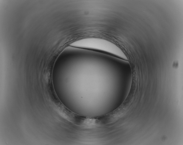 X0000091310227200709071120