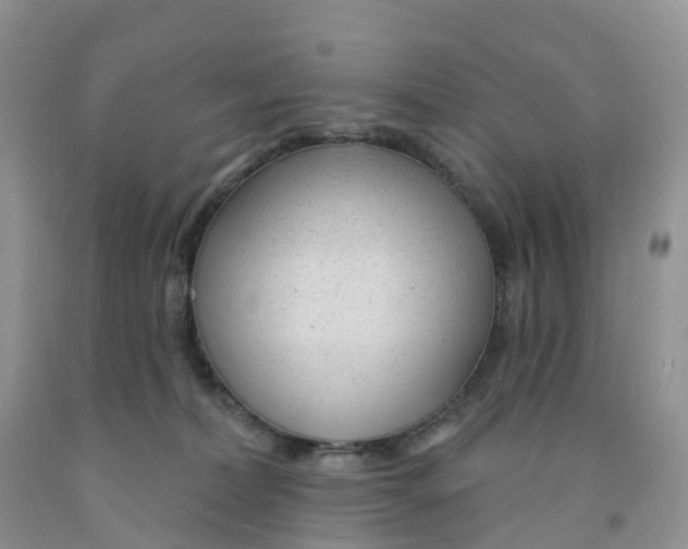 X0000091310228200709071120