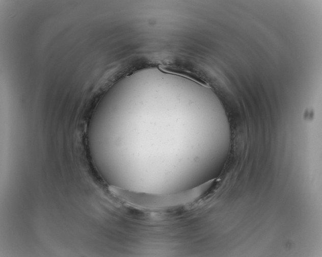 X0000091310229200709071120