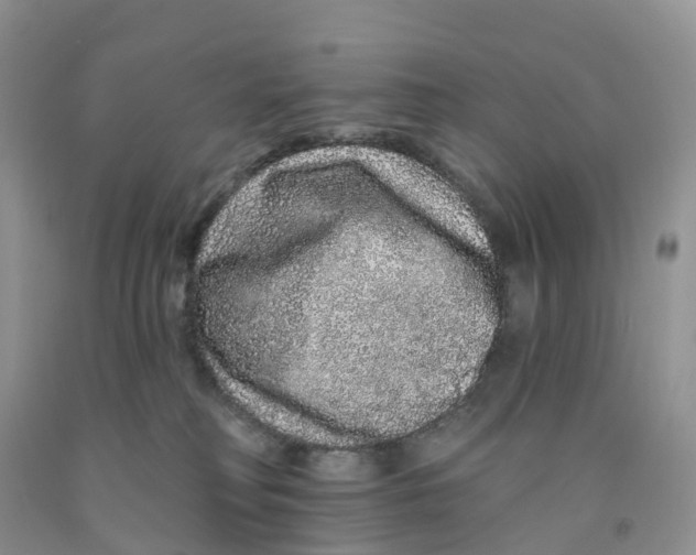 X0000091310230200709071120