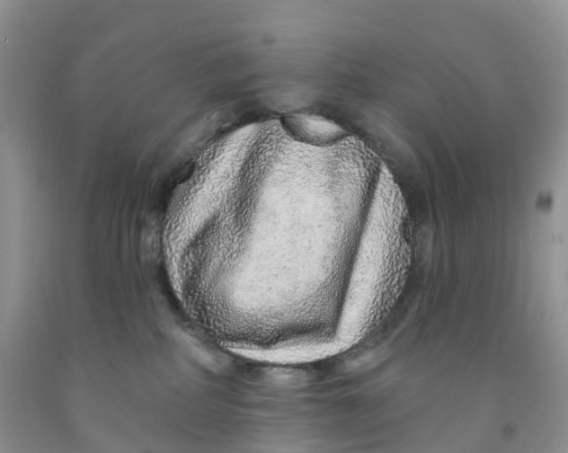 X0000091310234200709071120