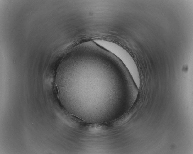 X0000091310235200709071120
