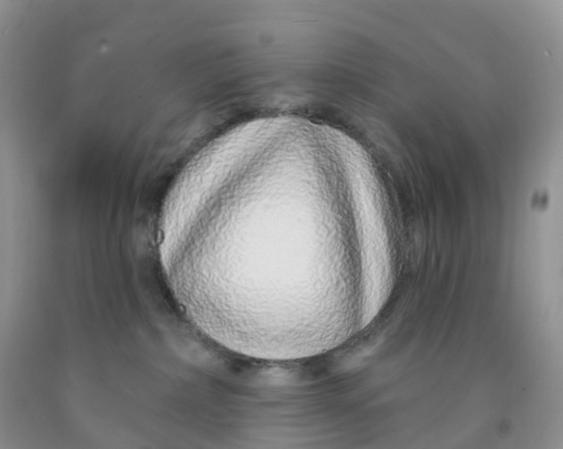 X0000091310236200709071120