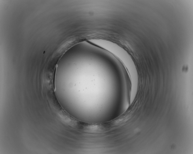 X0000091310237200709071120