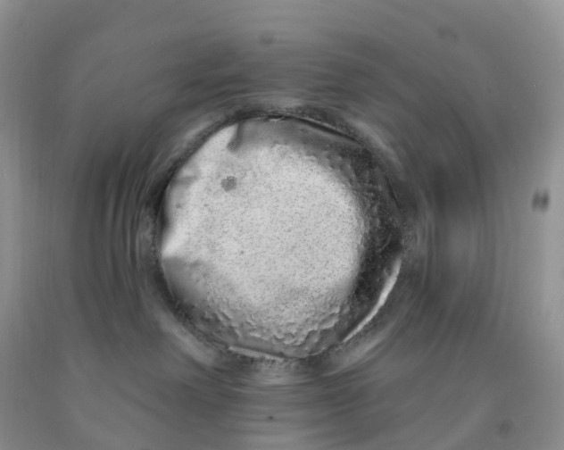 X0000091310238200709071120