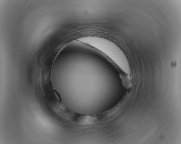 X0000091310239200709071120