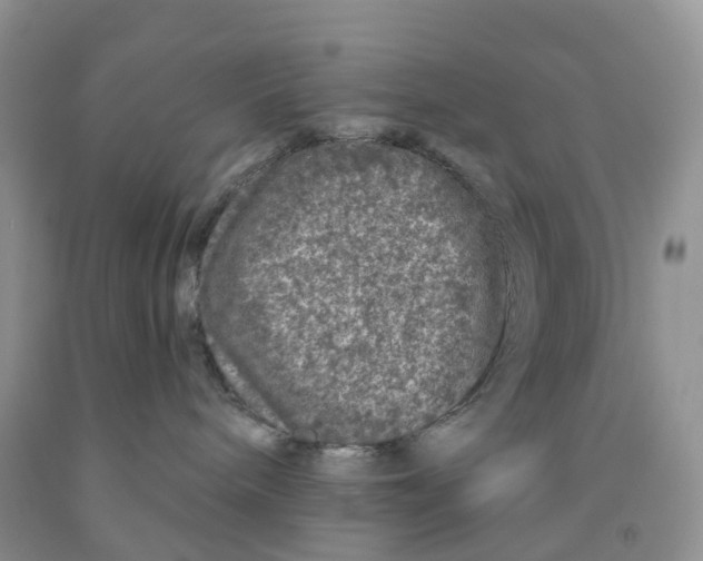 X0000091310240200709071120