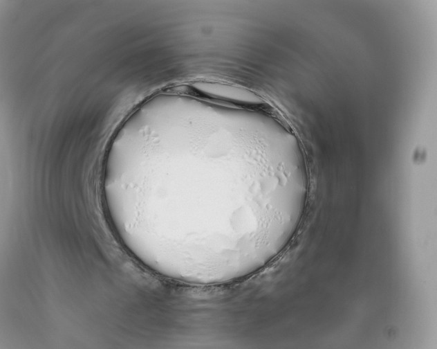 X0000091310241200709071119