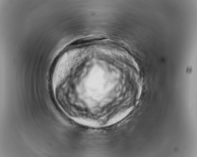 X0000091310242200709071119