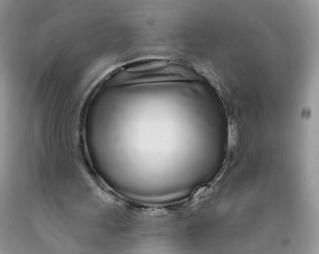 X0000091310243200709071119