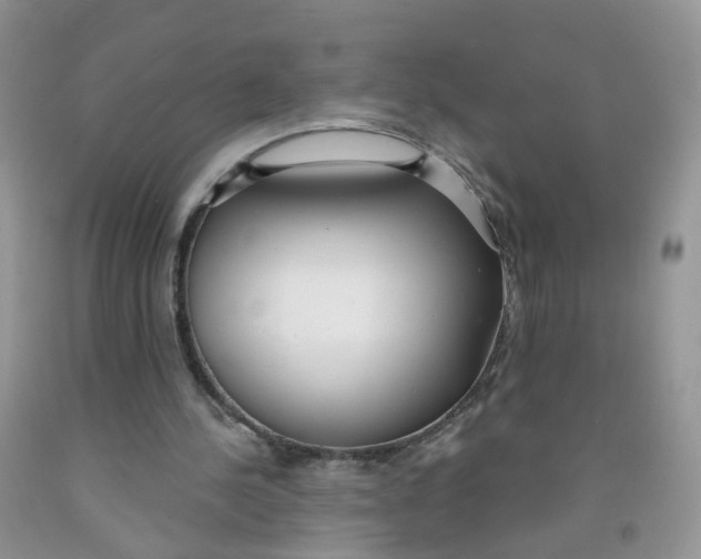 X0000091310244200709071119