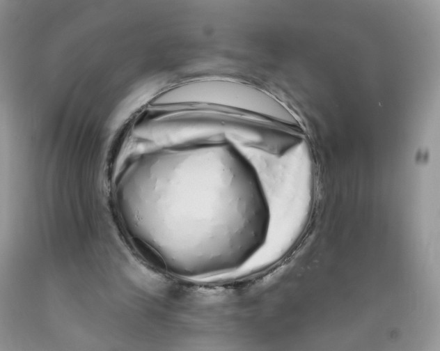 X0000091310245200709071120