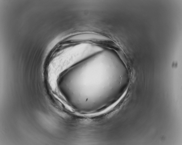 X0000091310246200709071120