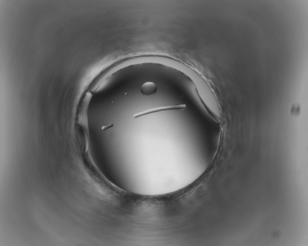X0000091310248200709071120