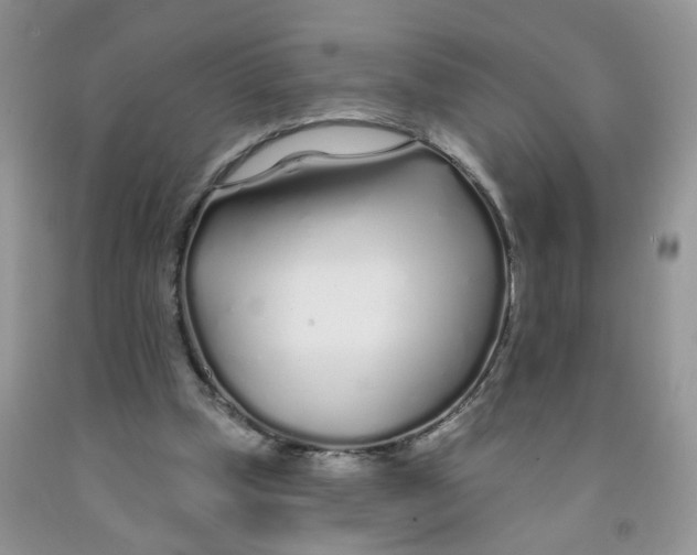 X0000091310249200709071120