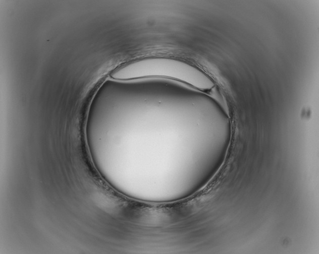 X0000091310250200709071120