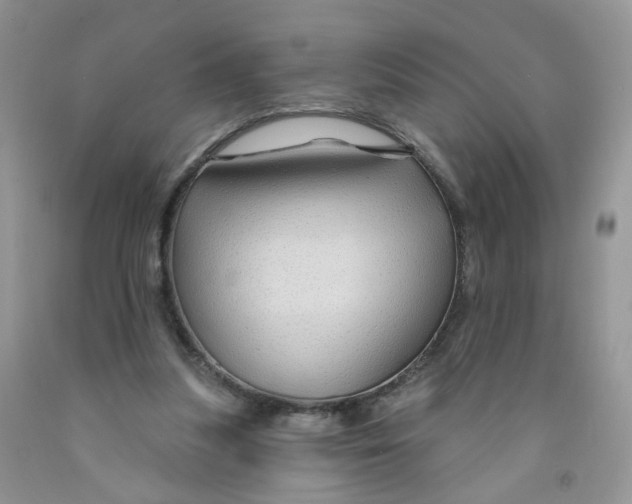 X0000091310251200709071120