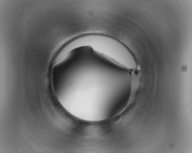 X0000091310252200709071120