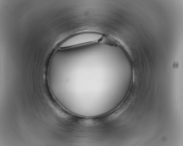 X0000091310253200709071120