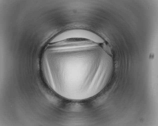 X0000091310254200709071120