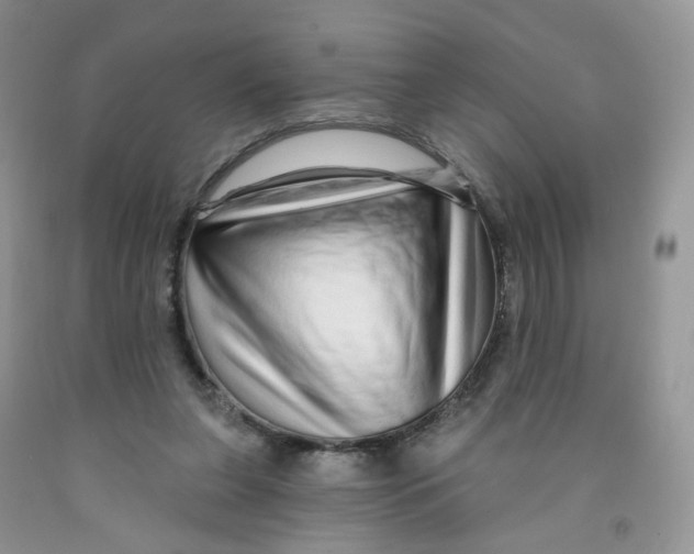 X0000091310255200709071120