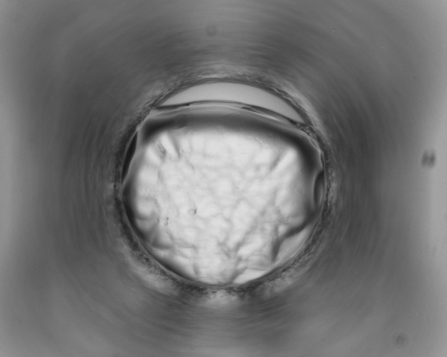 X0000091310257200709071120