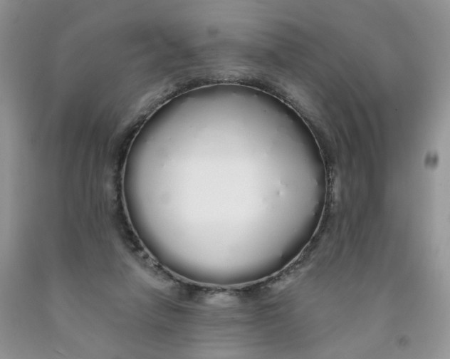 X0000091310258200709071120