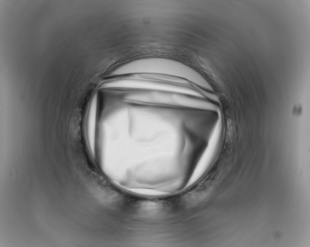X0000091310259200709071120