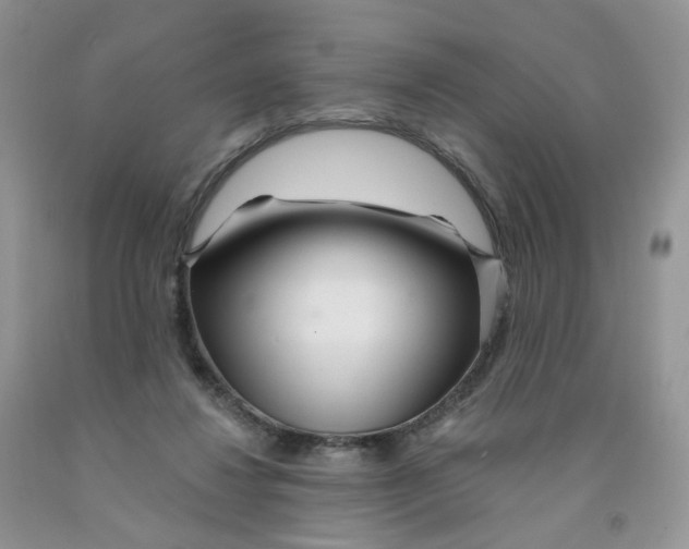 X0000091310260200709071120