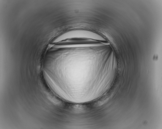 X0000091310261200709071120