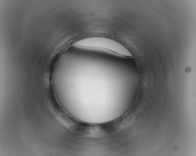 X0000091310262200709071120