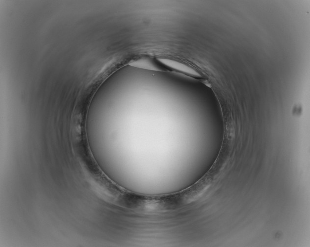 X0000091310264200709071120