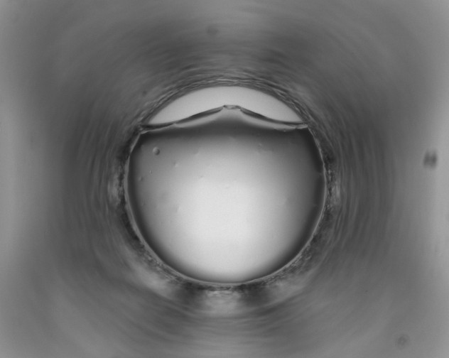 X0000091310266200709071120