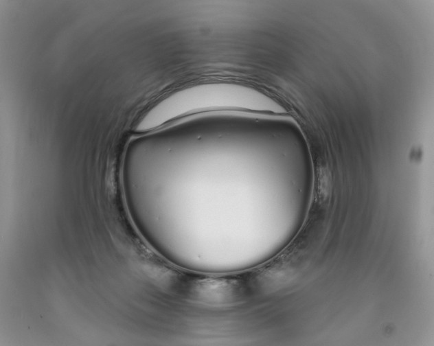 X0000091310267200709071120