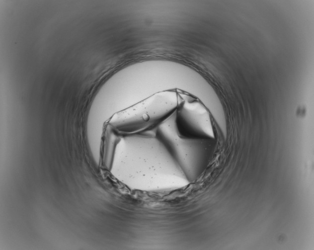 X0000091310268200709071120
