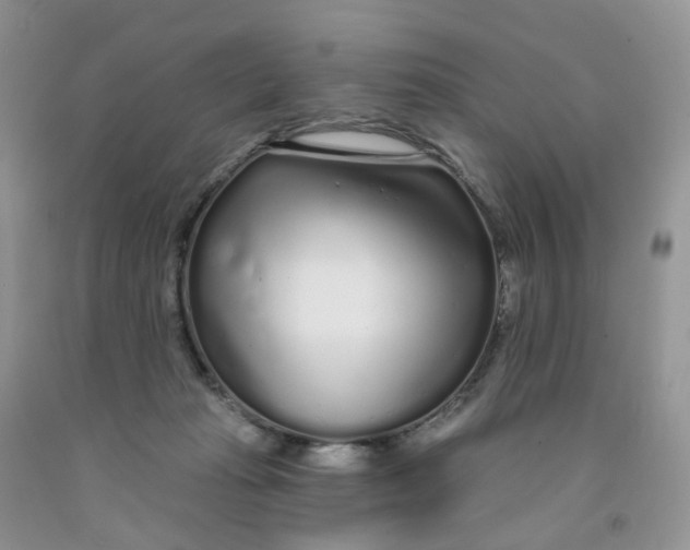 X0000091310269200709071120