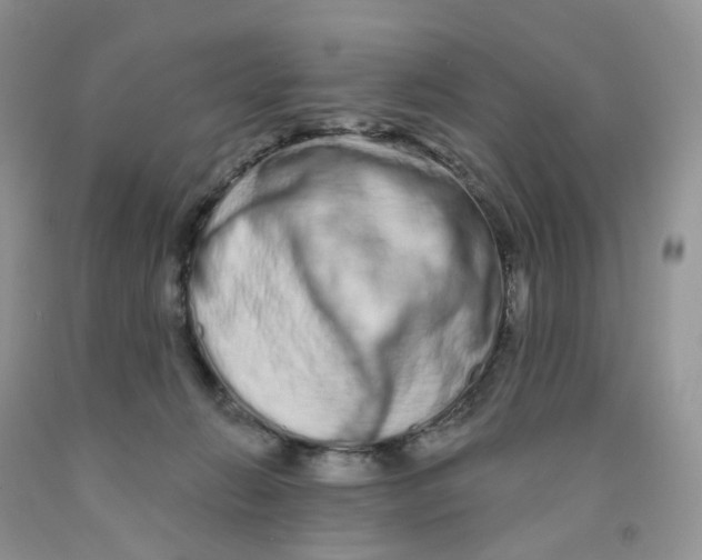 X0000091310270200709071120