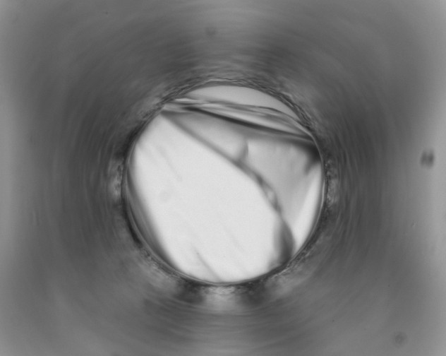 X0000091310273200709071120