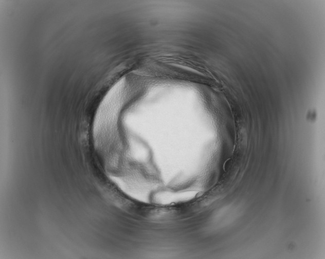 X0000091310274200709071120